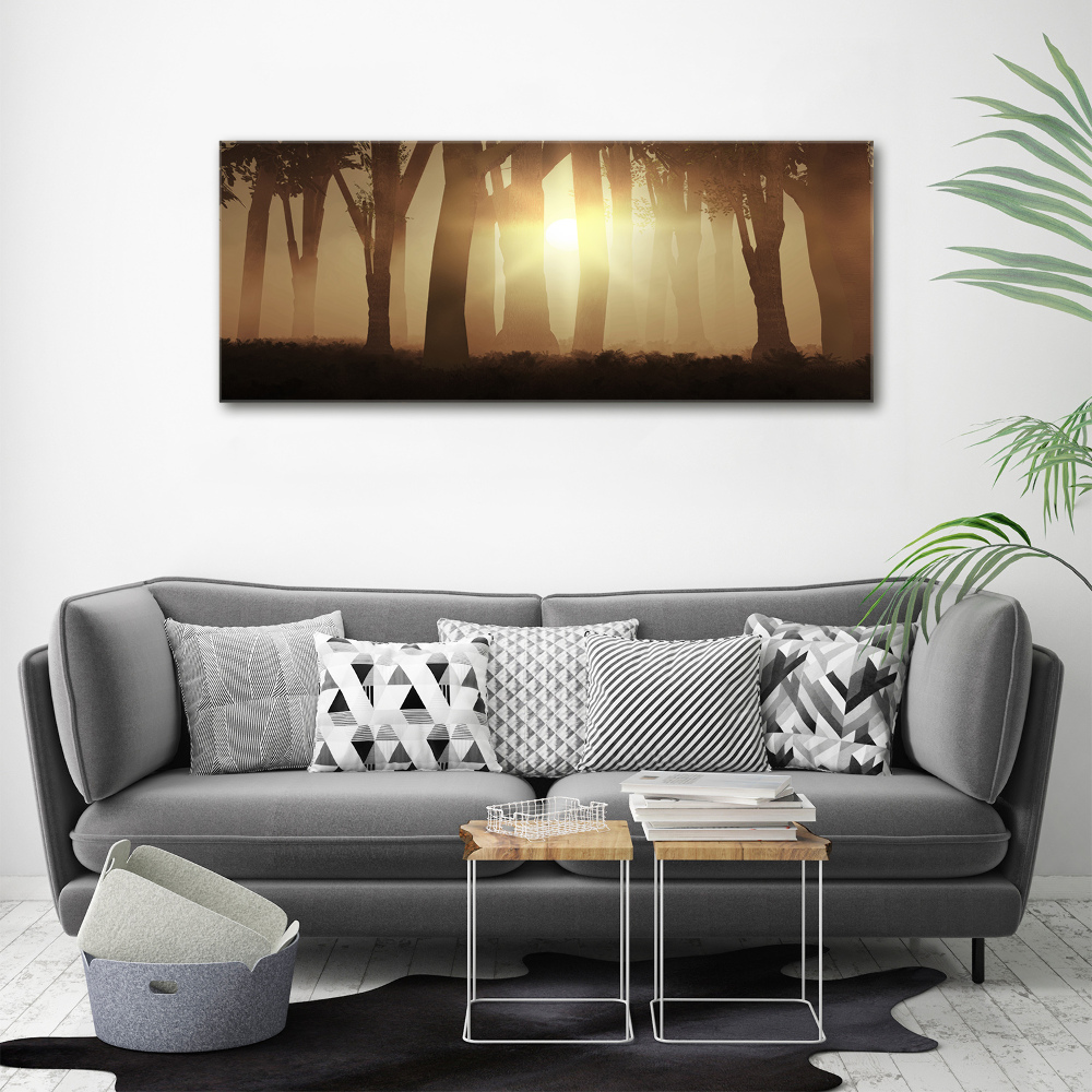 Glass acrylic wall art Fog in the forest