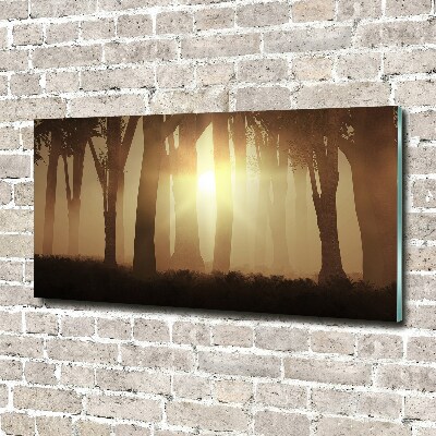 Glass acrylic wall art Fog in the forest