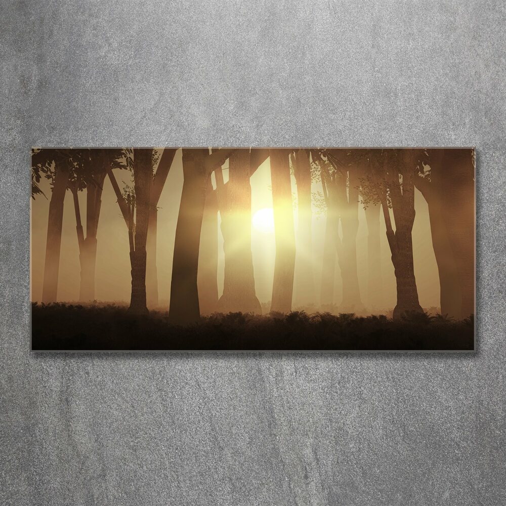 Glass acrylic wall art Fog in the forest