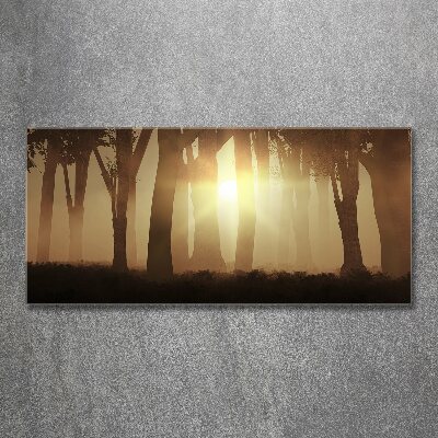 Glass acrylic wall art Fog in the forest