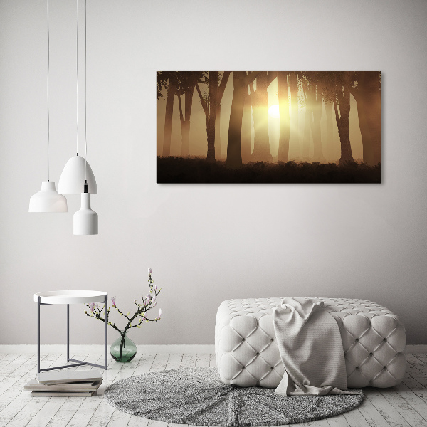 Glass acrylic wall art Fog in the forest