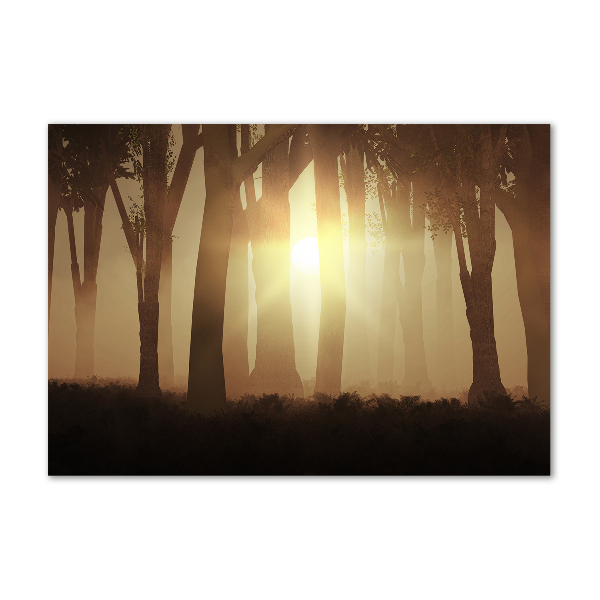 Glass acrylic wall art Fog in the forest