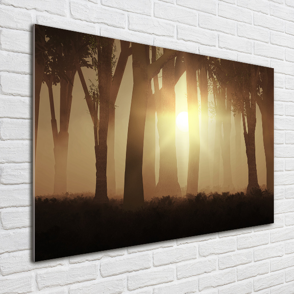 Glass acrylic wall art Fog in the forest