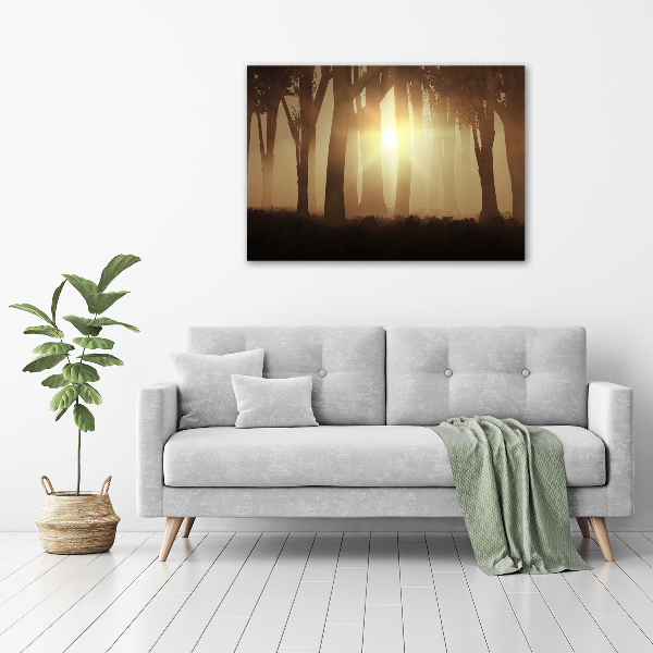 Glass acrylic wall art Fog in the forest