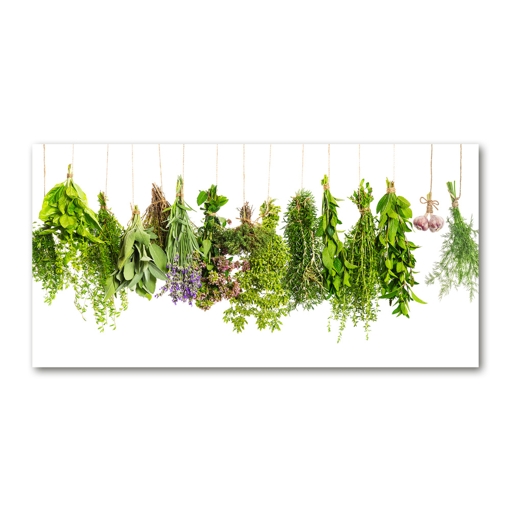 Print on acrylic Herbs on a string