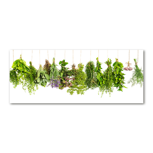 Print on acrylic Herbs on a string