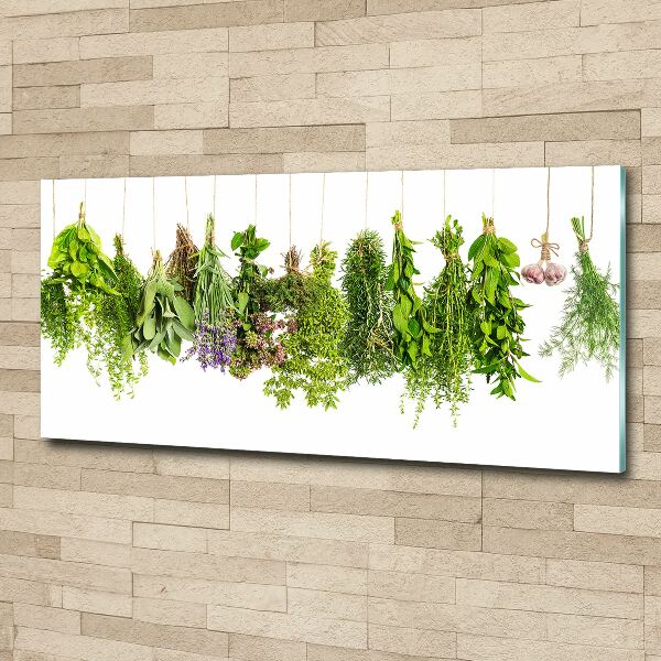 Print on acrylic Herbs on a string