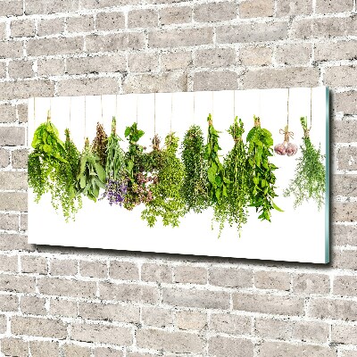 Print on acrylic Herbs on a string