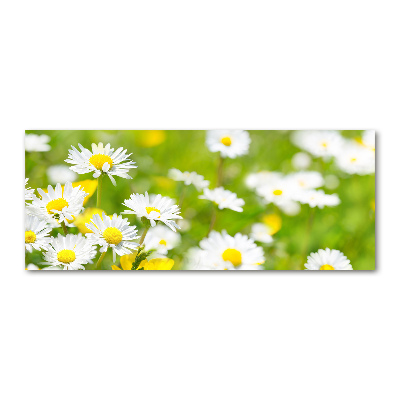 Acrylic wall art Daisy