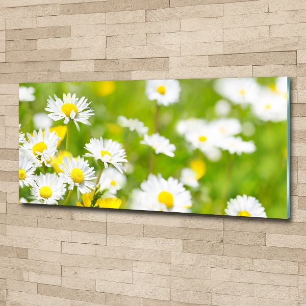 Acrylic wall art Daisy