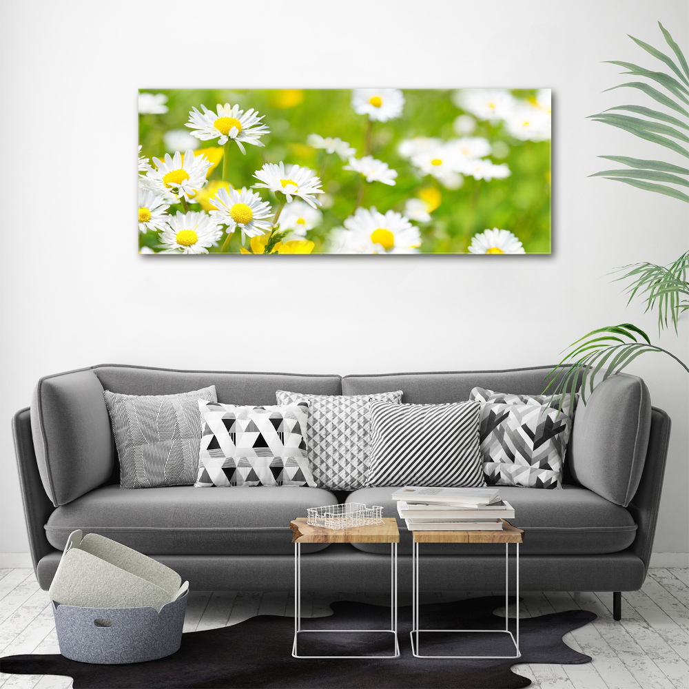 Acrylic wall art Daisy