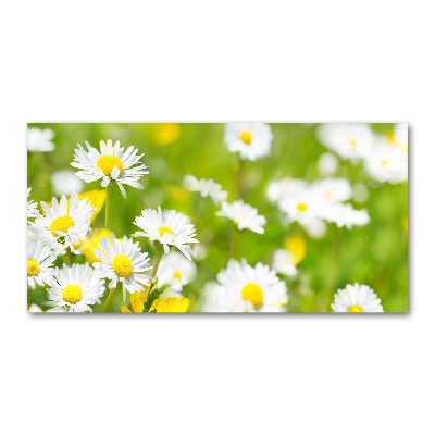 Acrylic wall art Daisy