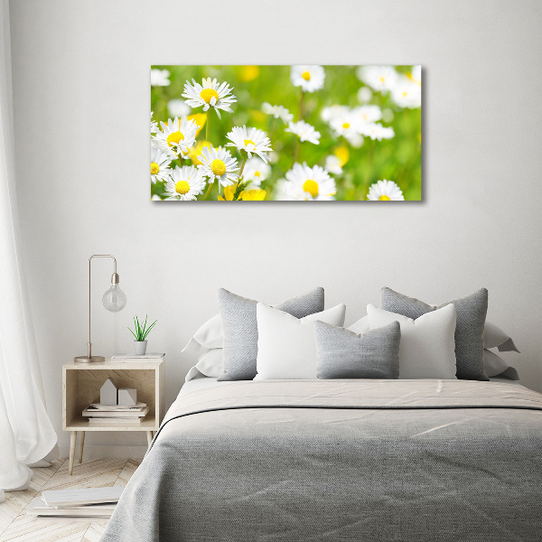 Acrylic wall art Daisy