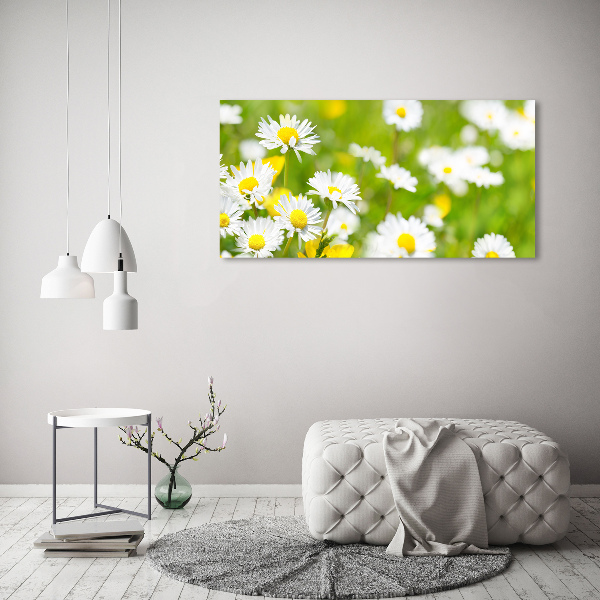 Acrylic wall art Daisy