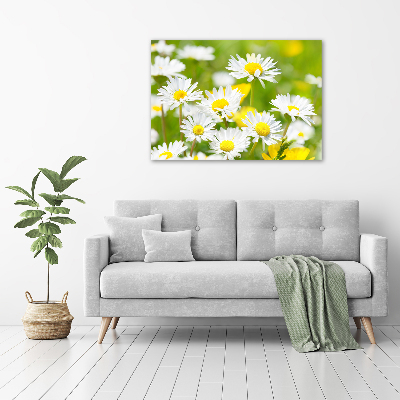 Acrylic wall art Daisy