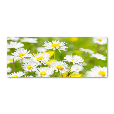 Acrylic wall art Daisy