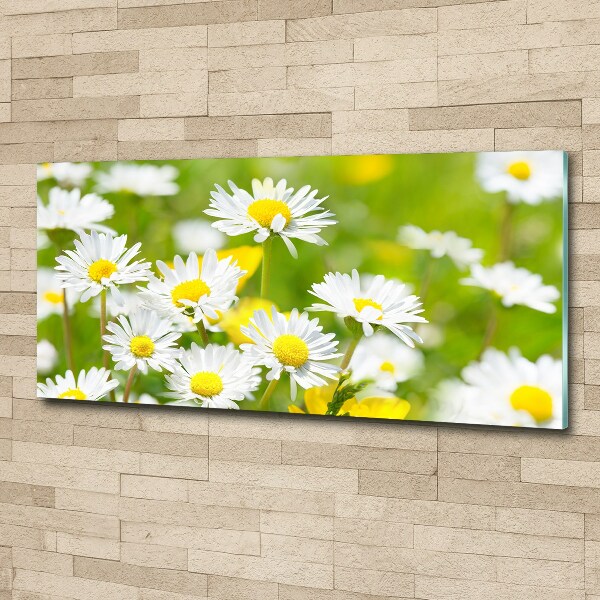 Acrylic wall art Daisy