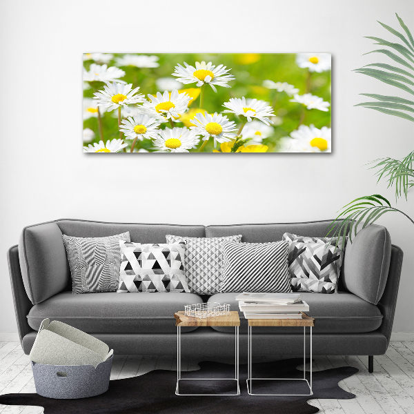 Acrylic wall art Daisy