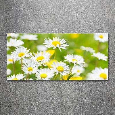 Acrylic wall art Daisy