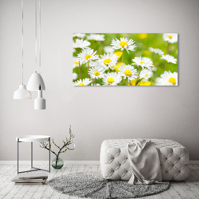 Acrylic wall art Daisy