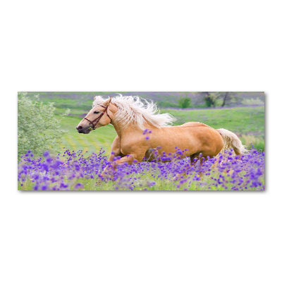 Wall art acrylic Horse in the field of lavender