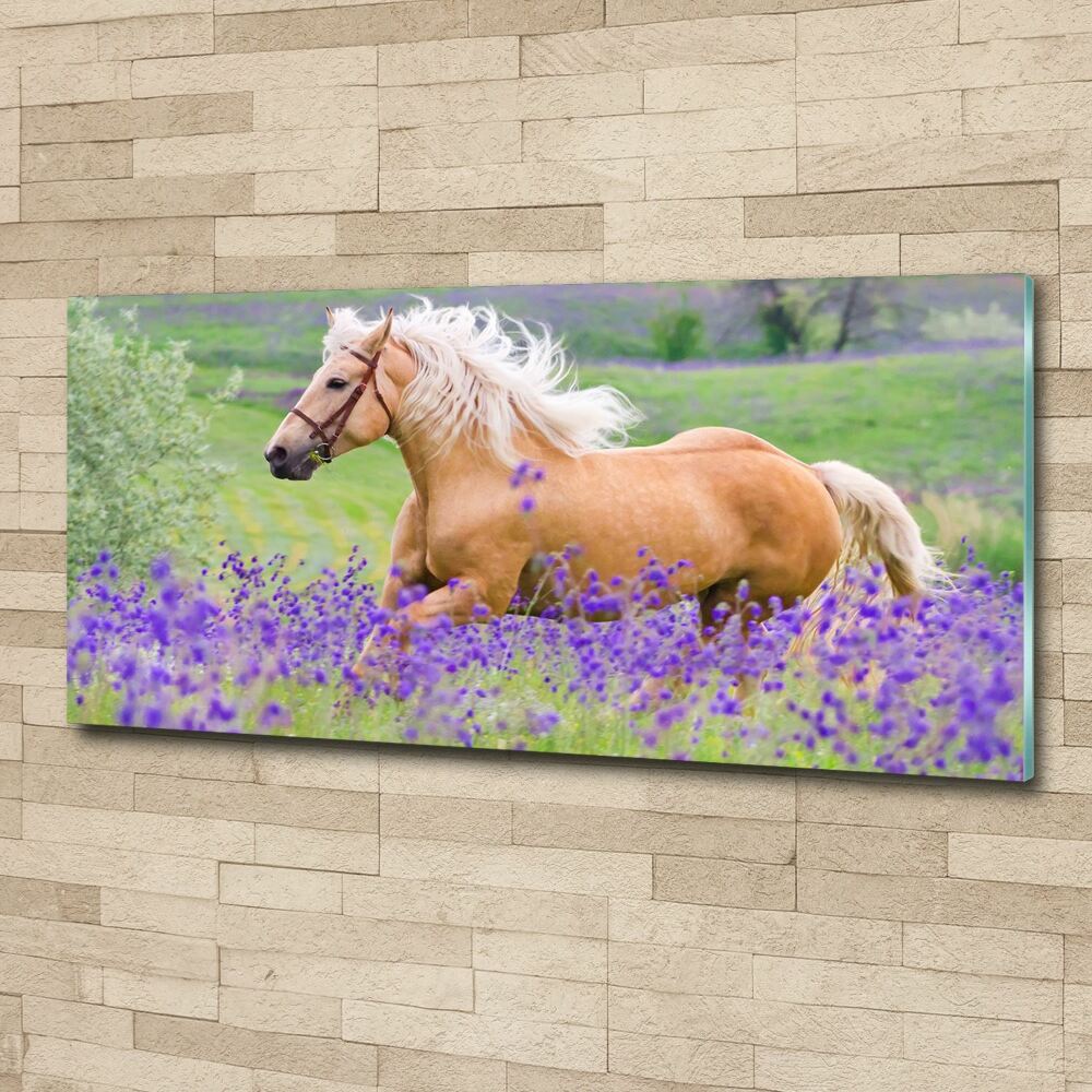 Wall art acrylic Horse in the field of lavender