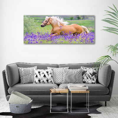 Wall art acrylic Horse in the field of lavender