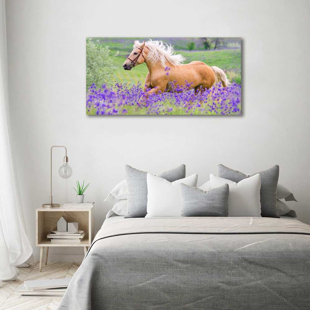 Wall art acrylic Horse in the field of lavender