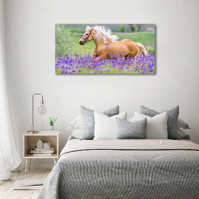 Wall art acrylic Horse in the field of lavender