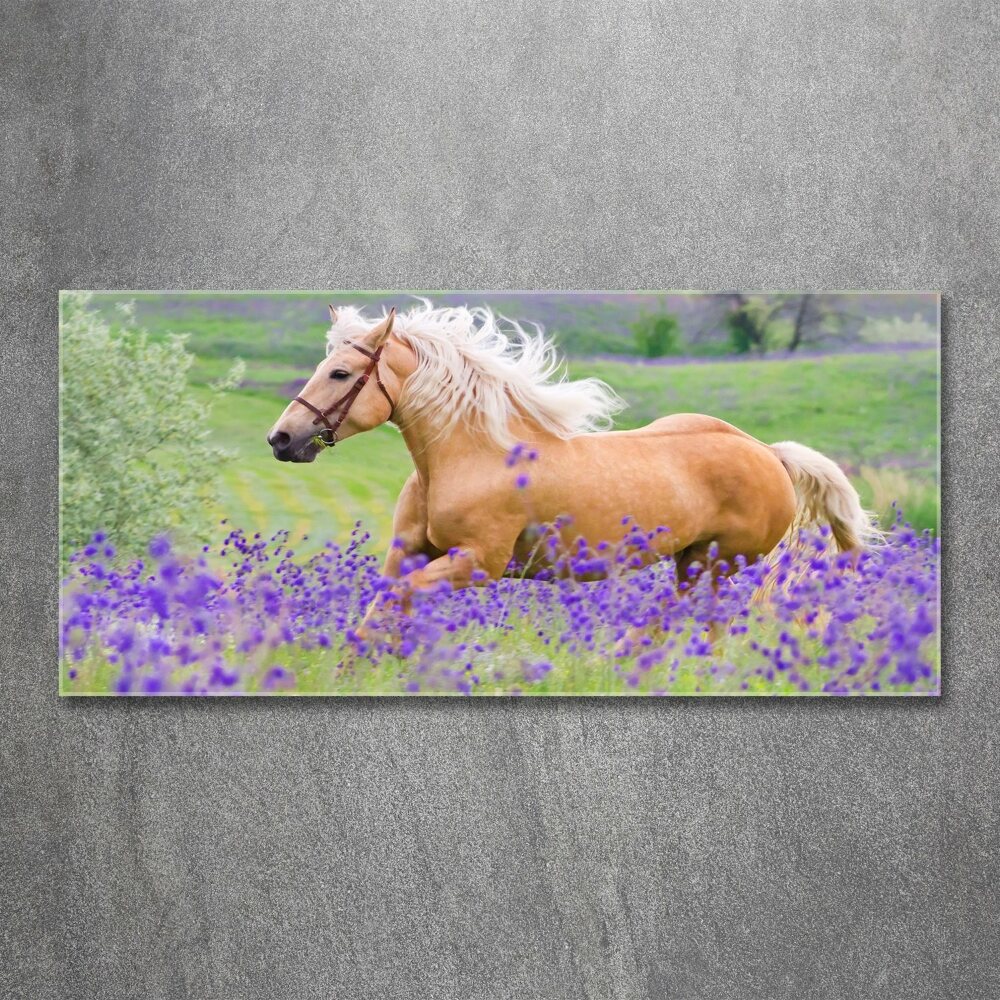 Wall art acrylic Horse in the field of lavender