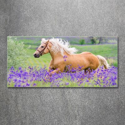 Wall art acrylic Horse in the field of lavender