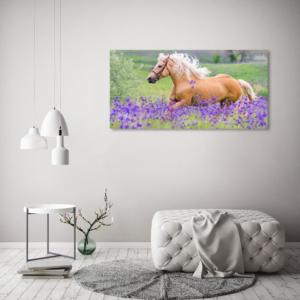 Wall art acrylic Horse in the field of lavender