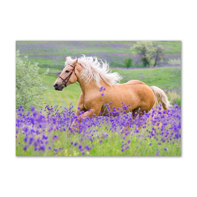 Wall art acrylic Horse in the field of lavender