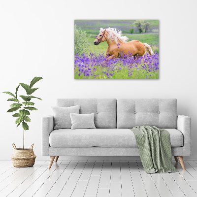 Wall art acrylic Horse in the field of lavender