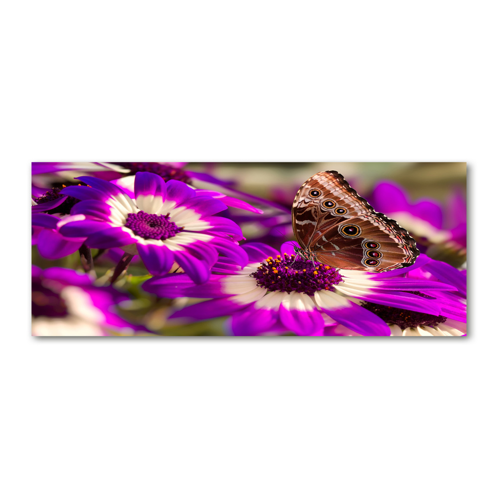 Acrylic print Flower butterfly