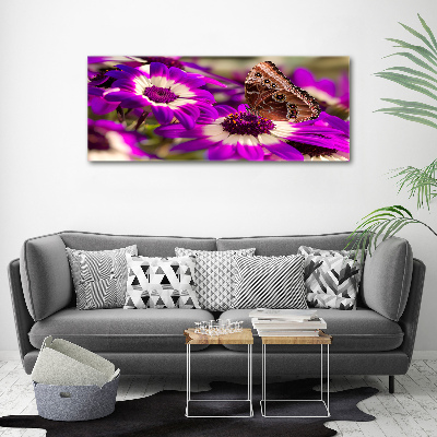 Acrylic print Flower butterfly