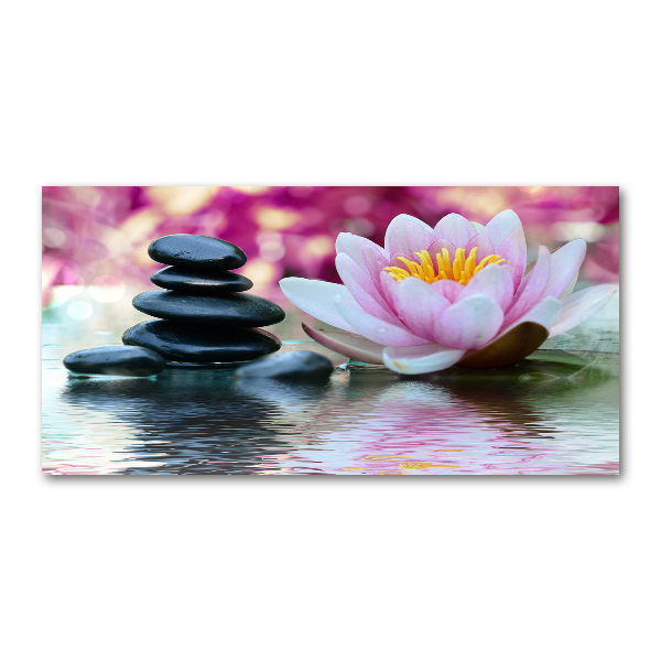 Acrylic print water lily