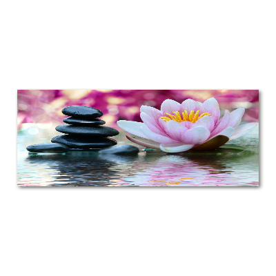 Acrylic print water lily