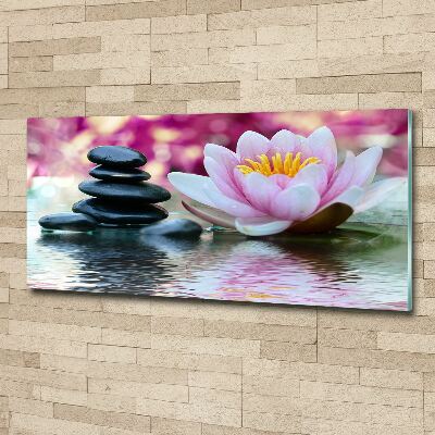 Acrylic print water lily