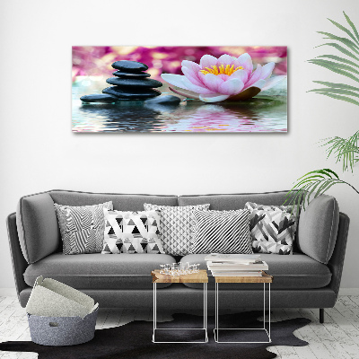 Acrylic print water lily