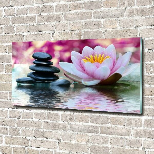 Acrylic print water lily