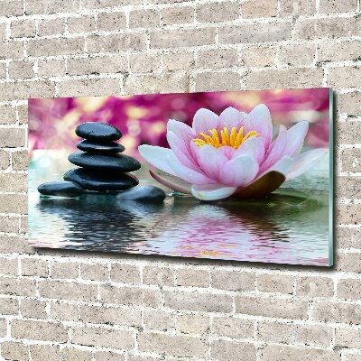 Acrylic print water lily