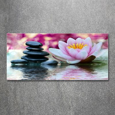 Acrylic print water lily