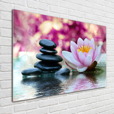 Acrylic print water lily