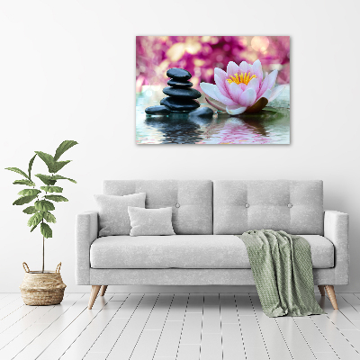 Acrylic print water lily