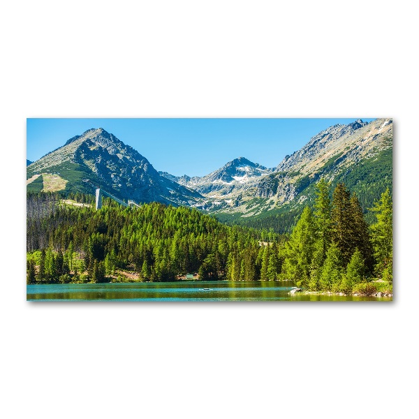 Acrylic wall picture Lake in the mountains