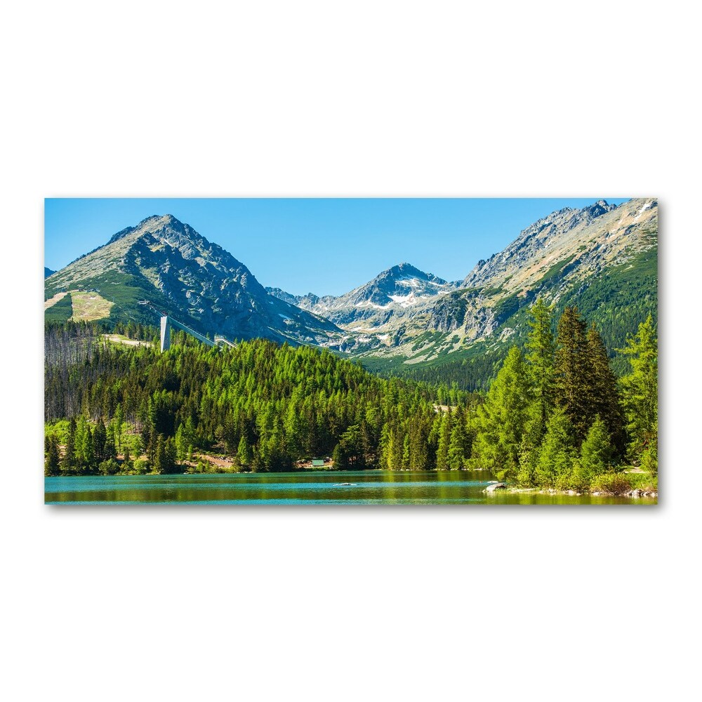 Acrylic wall picture Lake in the mountains