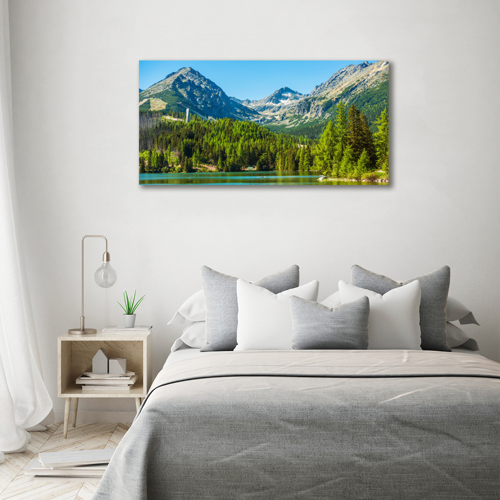 Acrylic wall picture Lake in the mountains