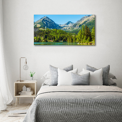 Acrylic wall picture Lake in the mountains