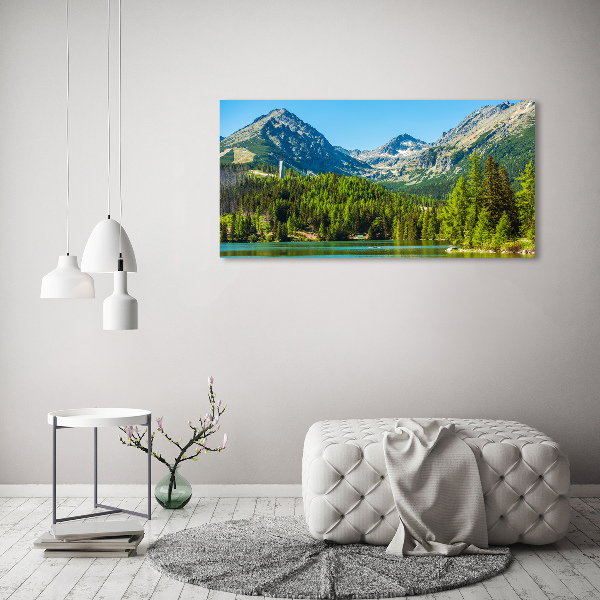 Acrylic wall picture Lake in the mountains